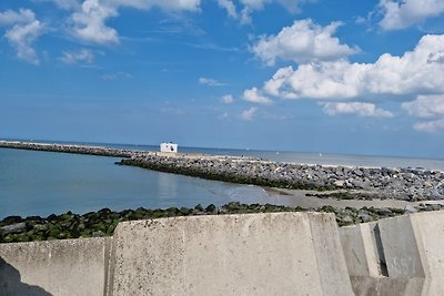 Dolce Vita Oostende