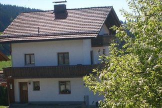 Ferienhaus Drachenland
