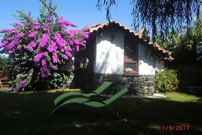 Casa Magnolia