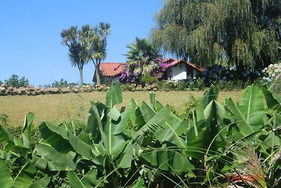 Ferienhaus Casa Magnolia